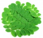 moringa-leaves